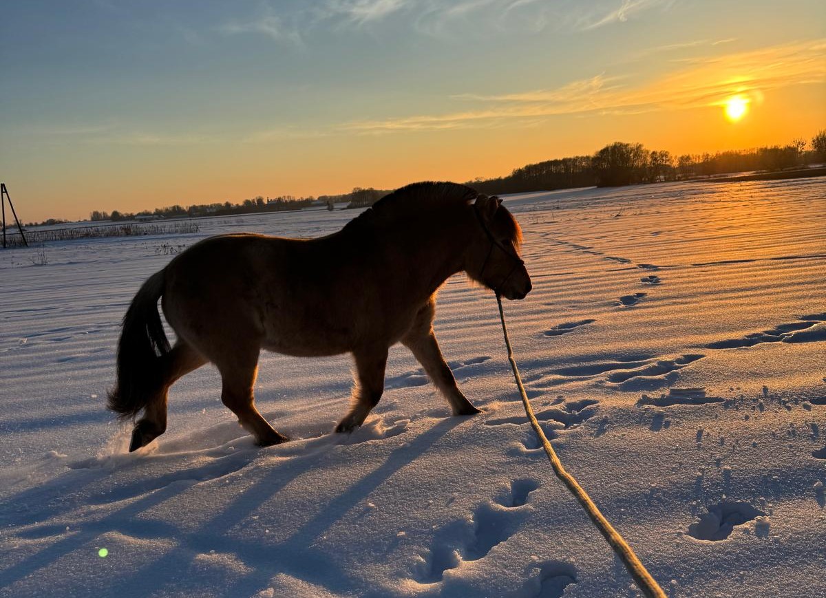 fiord_sunset.jpg